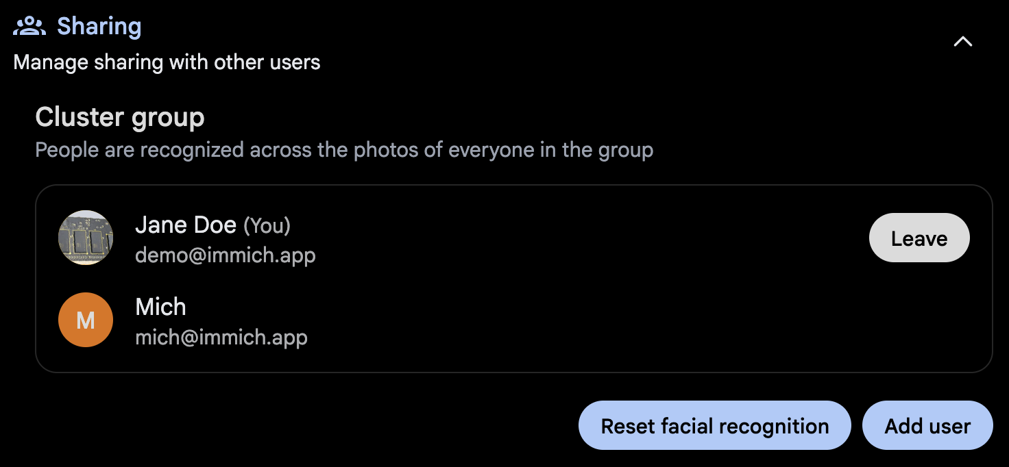 The Cluster group section in Immich's sharing settings, with the group's members and the Reset facial recognition button.